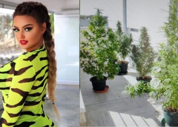 U arrestua për kanabis në ballkon, Enca: Po e kultivoja për përdorim vetjak