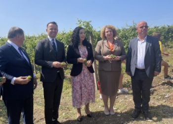 ​Nis festa e vjeljes së rrushit, Osmani: Me këtë traditë po mbahet gjallë ekonomia