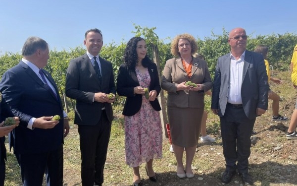 ​Nis festa e vjeljes së rrushit, Osmani: Me këtë traditë po mbahet gjallë ekonomia