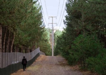 Mbi 80 për qind e ekonomive familjare ngrohen me dru zjarri