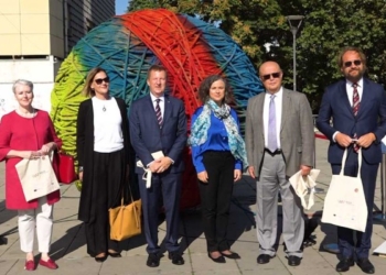 Szunyog: Të respektohen të drejtat edhe për fëmijët me aftësi të kufizuara