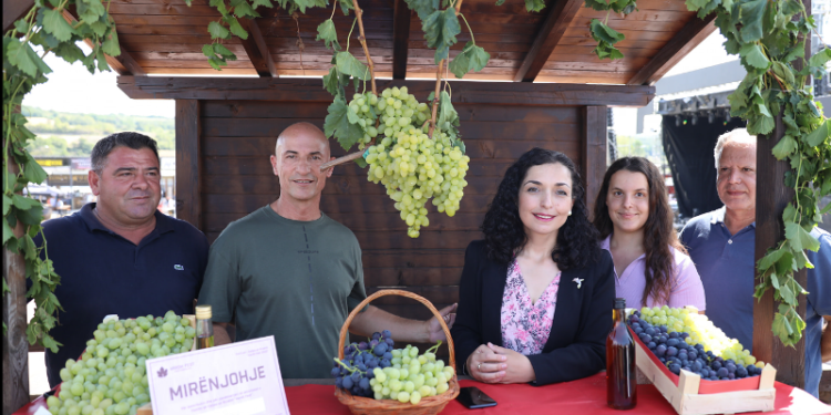 Presidenca premton se do ta marrë nën patronatin e saj organizim e “Hardh Fest”