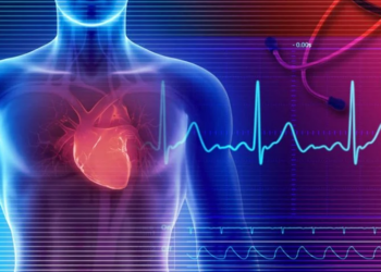 Dita Botërore e Zemrës