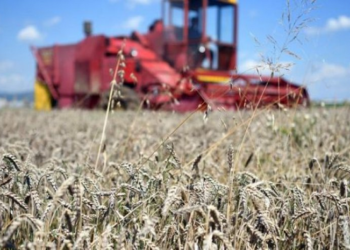 Ministri Peci tregon arsyet pse u vonuan subvencionet për shumicën e bujqve