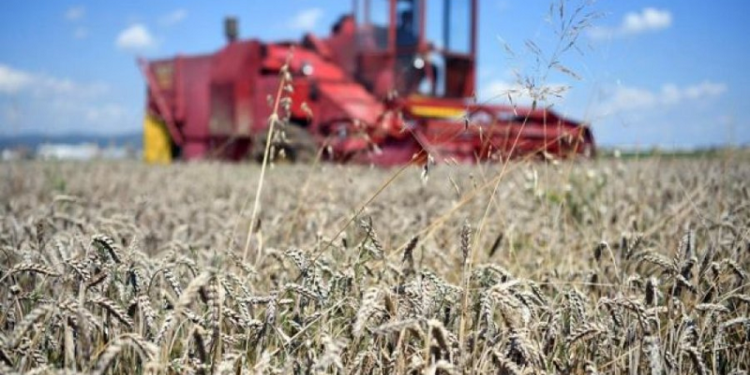 Ministri Peci tregon arsyet pse u vonuan subvencionet për shumicën e bujqve