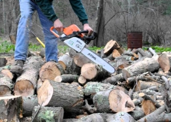 U lëndua me motosharrë duke prerë dru, vdes një person në Pejë