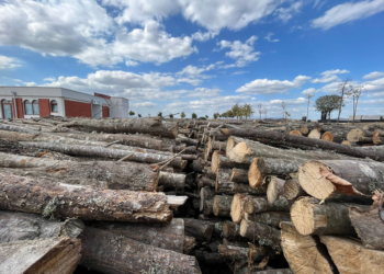 Rama thotë se kanë siguruar drutë për 140 familje me ndihmë sociale