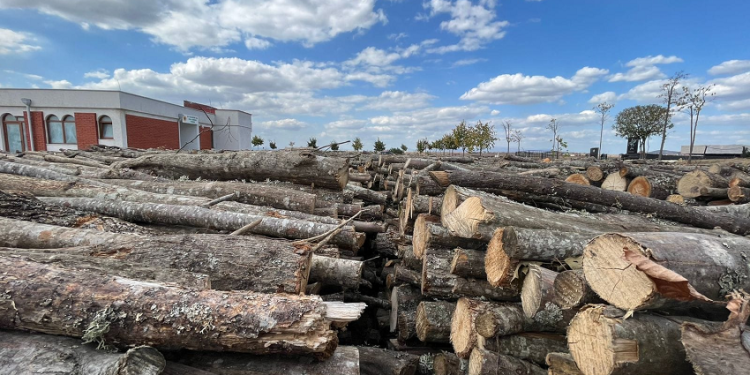 Rama thotë se kanë siguruar drutë për 140 familje me ndihmë sociale