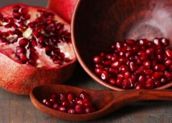 Disa nga përfitimet shëndetësore të shegës