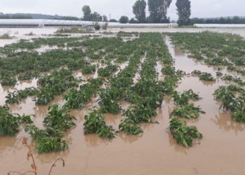 Qeveria ndan mbi 1.1 milionë euro për dëmet nga vërshimet