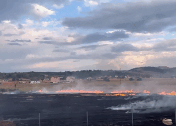 Mbi dy mijë zjarre në dy muaj, shumica në ara