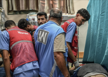 Të paktën 29 punonjës të OKB-së janë vrarë në Gaza