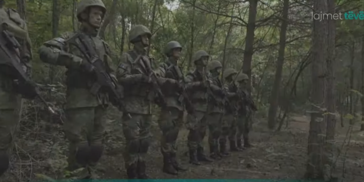 Formimi i AIMS-së ndihmon zhvillimin e FSK-së