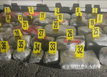 Transportonin 182 kg Marihuanë nga Serbia, arrestohen dy qytetarë