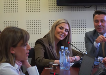 Shkarkohet Deliu-Kodra nga Komisioni