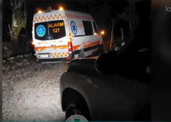 152 raste të personave të zhdukur këtë vit