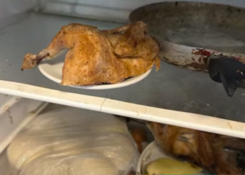 Helmimi i mbi 200 personave nga ushqimet në ‘Fast food’