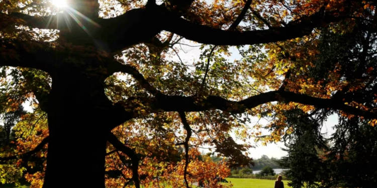 Viti 2023 mund të jetë më i nxehti ndonjëherë