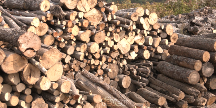 Deri në 70 euro 1 metër kub dru, bie interesimi i qytetarëve për blerje