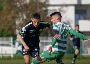 Malisheva-Dukagjini, formacionet zyrtare