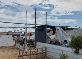 Save the Children thotë se të paktën 2000 fëmijë janë vrarë deri më tani në Gaza