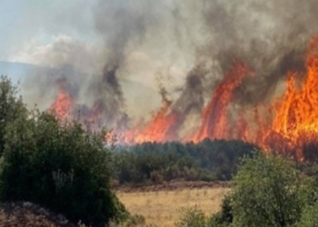 Shpërthen zjarri në Korfuz, evakuohen dy fshatra