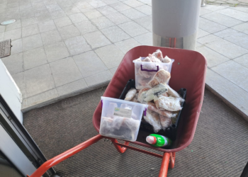 Grumbulloi mish pa afat dhe e përpunoi në suxhuk, arrestohet një person në Pejë