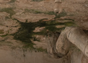 Objekti i stërvjetruar i gjimnazit në Ferizaj, nxënësve iu paraqiten probleme shëndetësore