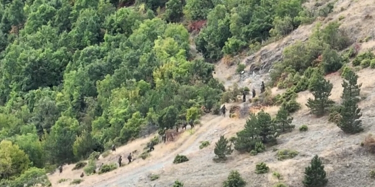 Policia po vazhdon kontrollet në brendi të pyllit në Banjskë