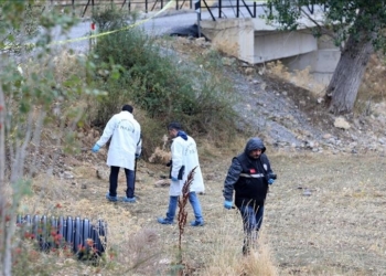 Para sulmit  terrorist në Ankara, sulmuesit vranë veterinerin dhe i vodhën automjetin