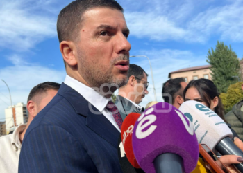 Krasniqi: Nuk patëm mundësi ta konsultojmë draftin për Asociacionin