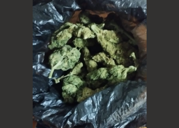 Arrestohen tre serbë të dyshuar, njëri kishte urdhër-arrest lidhur me një laborator droge