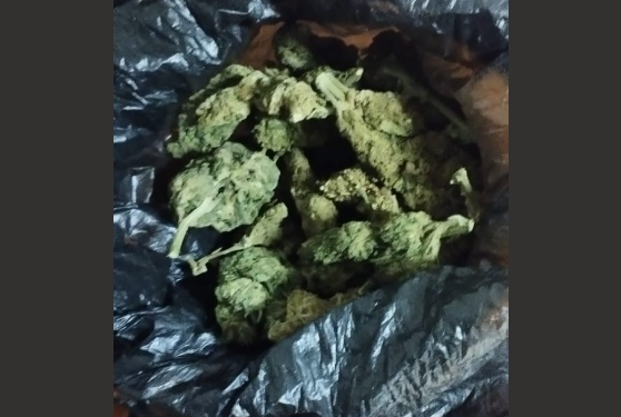 Arrestohen tre serbë të dyshuar, njëri kishte urdhër-arrest lidhur me një laborator droge