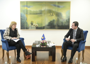 Kurti dhe drejtoresha e NDI-së, flasin për llogaridhënien institucionale