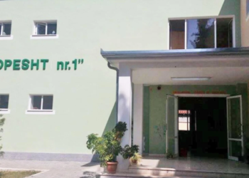 Edukatorja në Elbasan dyshohet se ka keqtrajtuar një 5-vjeçar me autizëm