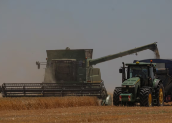 Ukraina vendos rregulla të reja për eksportet ushqimore