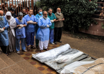 179 trupa varrosen brenda një varri masiv në Gaza