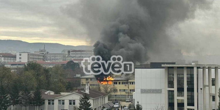 MD thotë se ende nuk dihen shkaqet e zjarrit në IML