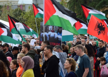 Shqipëri, tubim në mbështetje të Palestinës