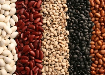 Të mirat dhe të këqijat që sjell konsumimi i fasuleve