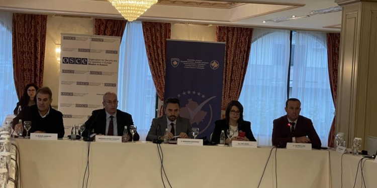 Radoniqi: Pjesëmarrja e grave në trupa zgjedhore është e ulët