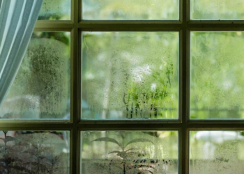 Hiqni lagështirën nga shtëpia me këto metoda natyrale