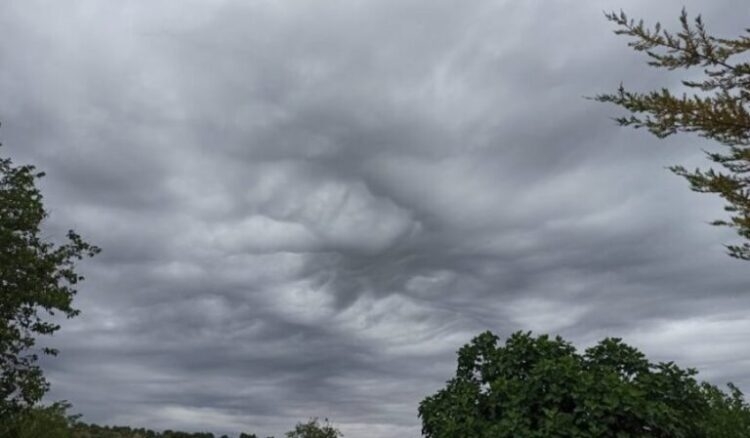 Parashikimi i motit për sot