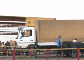 10 persona të lënduar nga shpërthimi i granatës së dorës në Prizren