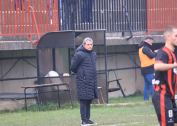 Daja në procedurë disiplinore