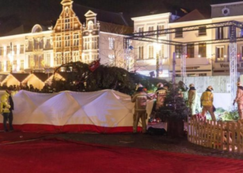 Në Belgjikë bie pema gjigante e Krishtlindjes, një i vdekur