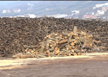 ​Familjet skamnore, Prizreni i mbështet me nga 3 metra dru për dimër