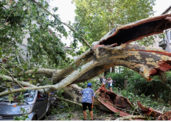 Nëntë të vdekur pas stuhive që goditën Australinë lindore