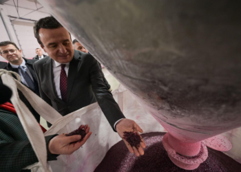 Kurti vizitoi një kompani në Viti, përfituese e masës 2.1 të Pakos së Ringjalljes Ekonomike