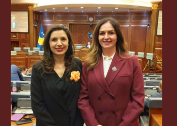 Kurti: Shkollat së shpejti do të pajisen me peceta menstruale falas